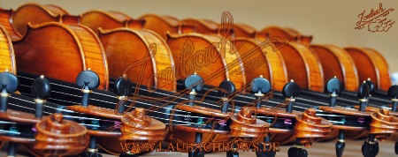 Laubach violins 小提琴 バイオリン 바이올린